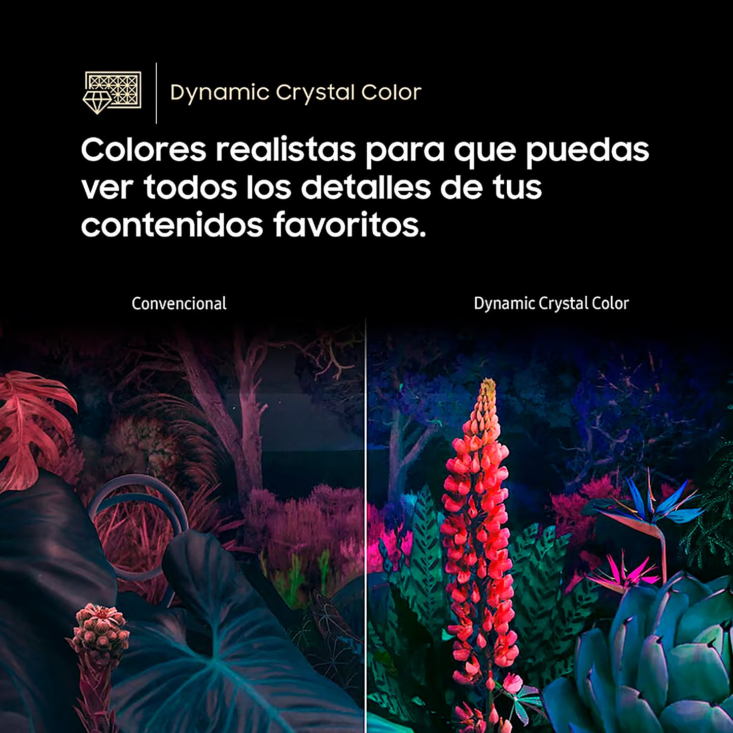 Televisor SAMSUNG 65" UN65DU8000 CRYSTAL UHD 4K TIZEN OS SMART TV (2024)