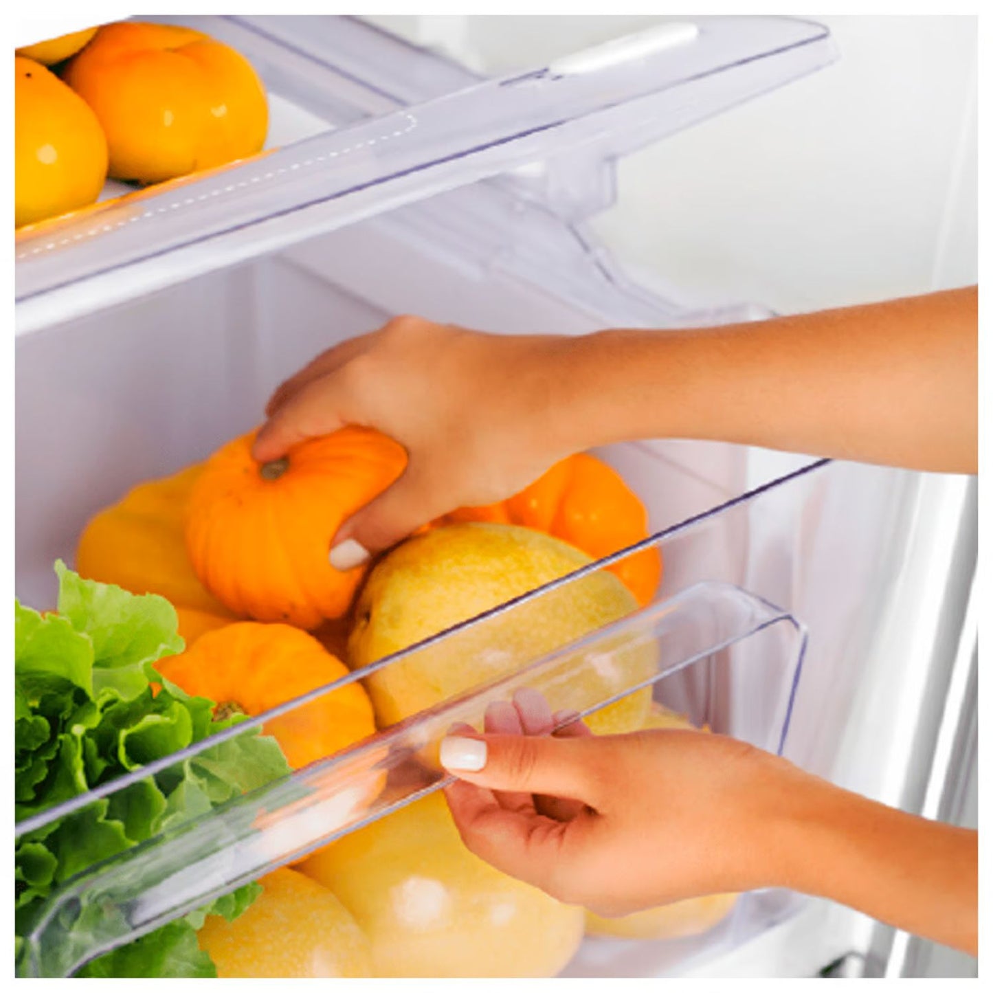 Refrigeradora Electrolux Bottom Freezer 310Lt ERT32G2KSQS - Plomo